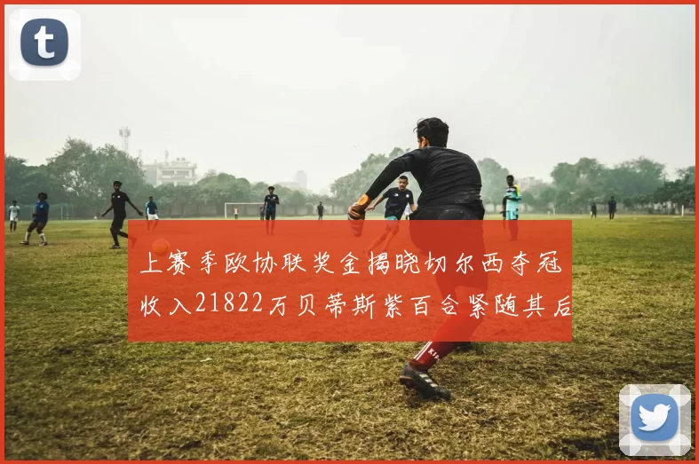 上赛季欧协联奖金揭晓切尔西夺冠收入21822万贝蒂斯紫百合紧随其后